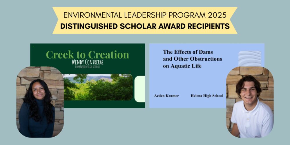 Distinguished Scholars